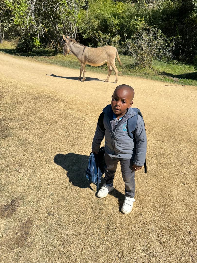 Harmony Junior School